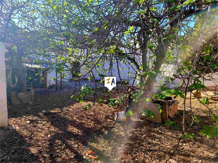 Image No.6-2 Bed Farmhouse for sale