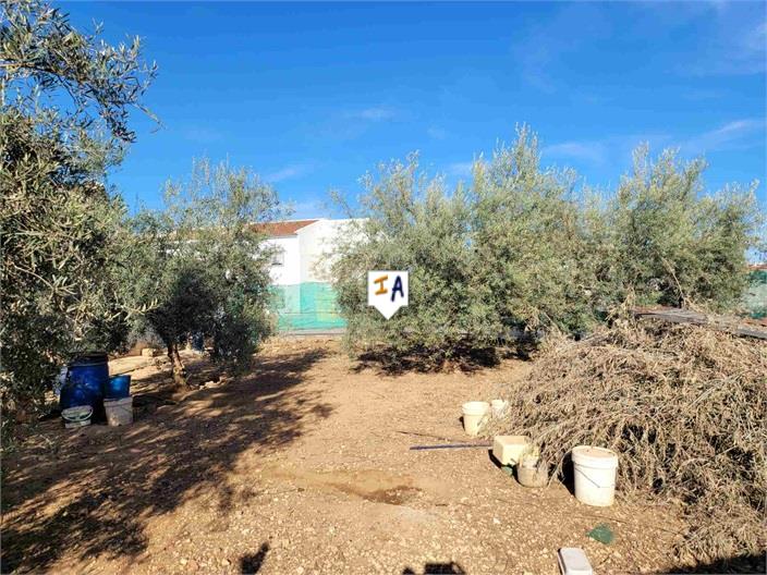 Image No.8-2 Bed Farmhouse for sale