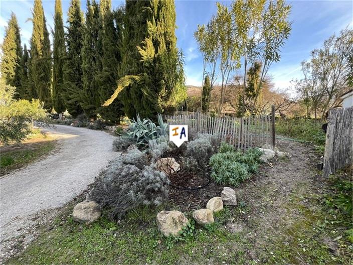 Image No.17-Ferme de 4 chambres à vendre à Rute