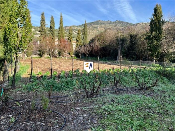 Image No.4-Ferme de 4 chambres à vendre à Rute