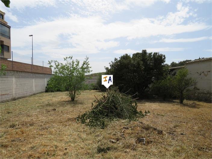 Image No.6-5 Bed House for sale