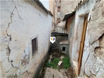th556916