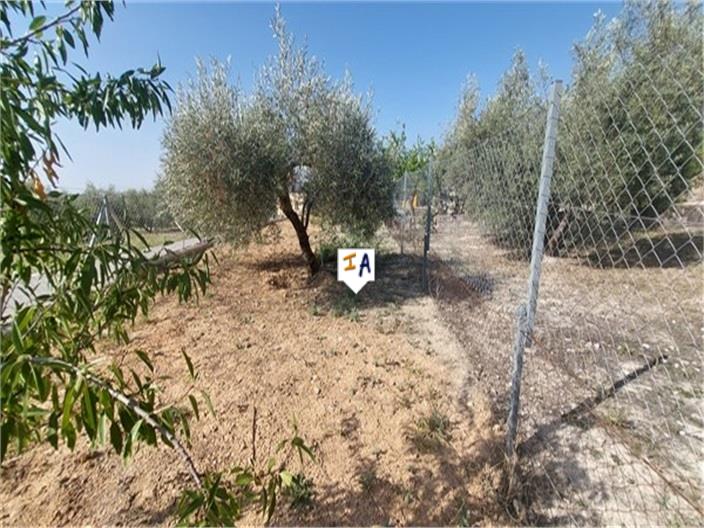 Image No.15-Commercial for sale