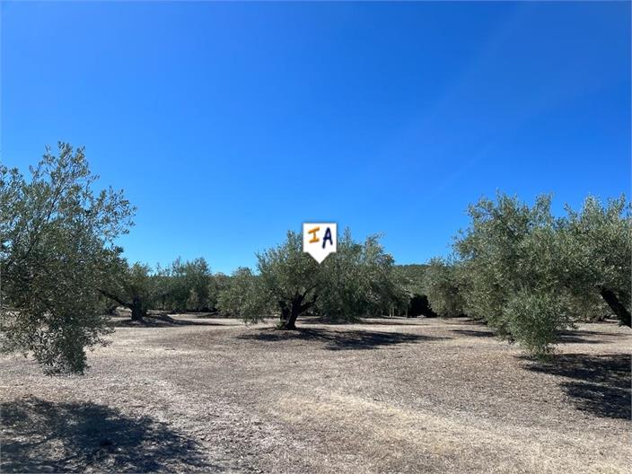 Image No.17-2 Bed Farmhouse for sale