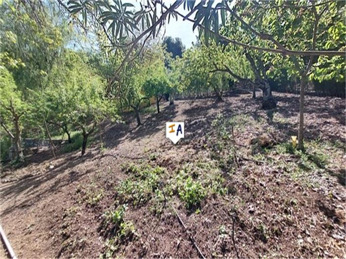 Image No.8-4 Bed Farmhouse for sale