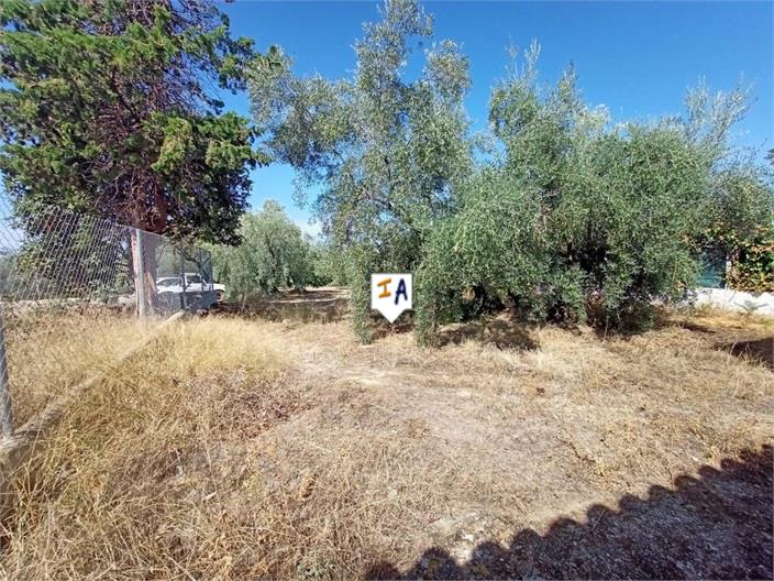 Image No.12-2 Bed Farmhouse for sale