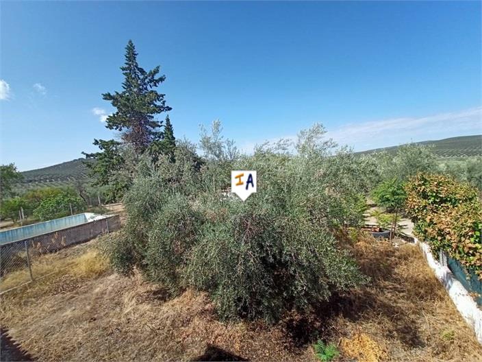 Image No.4-2 Bed Farmhouse for sale