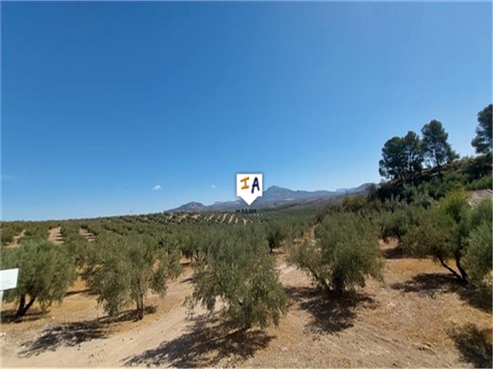 Image No.14-4 Bed House for sale