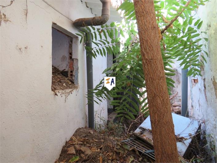 Image No.11-3 Bed House for sale