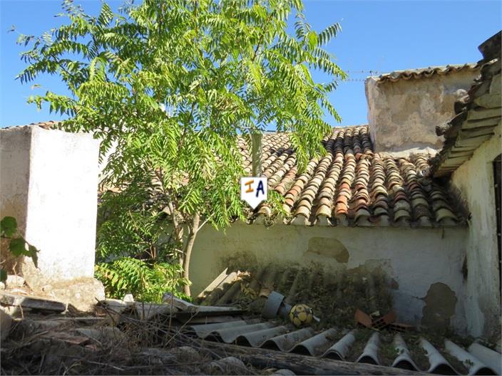 Image No.14-3 Bed House for sale