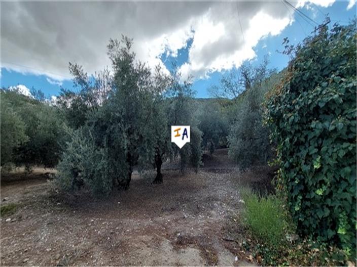 Image No.15-4 Bed Farmhouse for sale