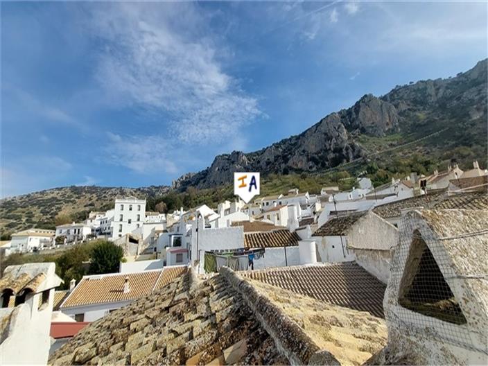 Image No.4-3 Bed House for sale