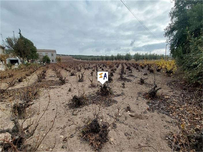 Image No.13-Maison de 3 chambres à vendre à Monturque