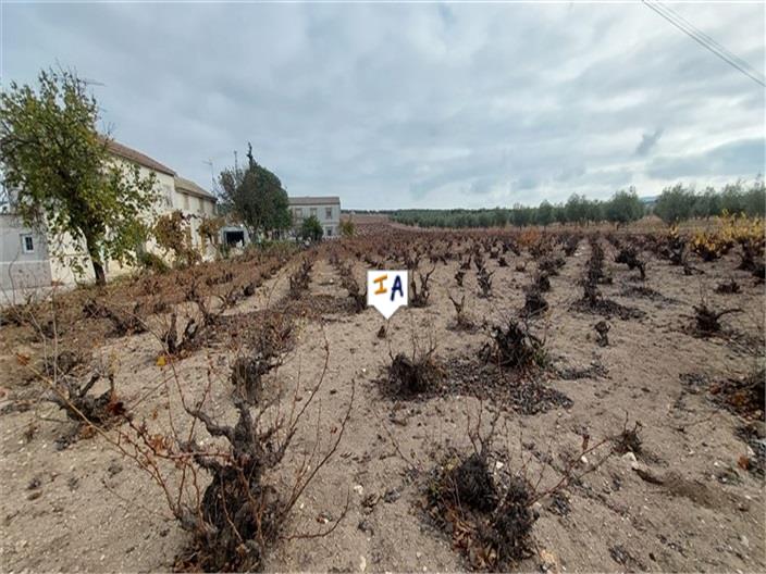 Image No.14-Maison de 3 chambres à vendre à Monturque