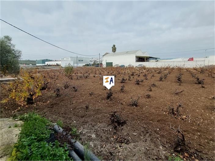 Image No.16-Maison de 3 chambres à vendre à Monturque