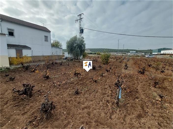 Image No.17-Maison de 3 chambres à vendre à Monturque