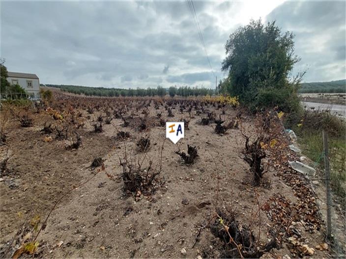 Image No.3-Maison de 3 chambres à vendre à Monturque