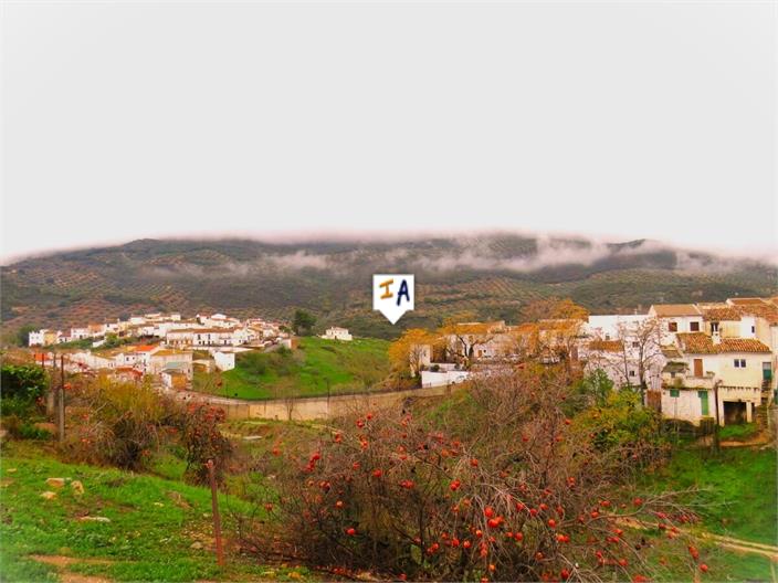 Image No.11-Maison de 5 chambres à vendre à Las Casillas