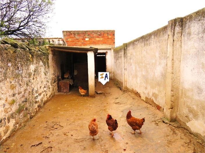 Image No.12-Maison de 5 chambres à vendre à Las Casillas