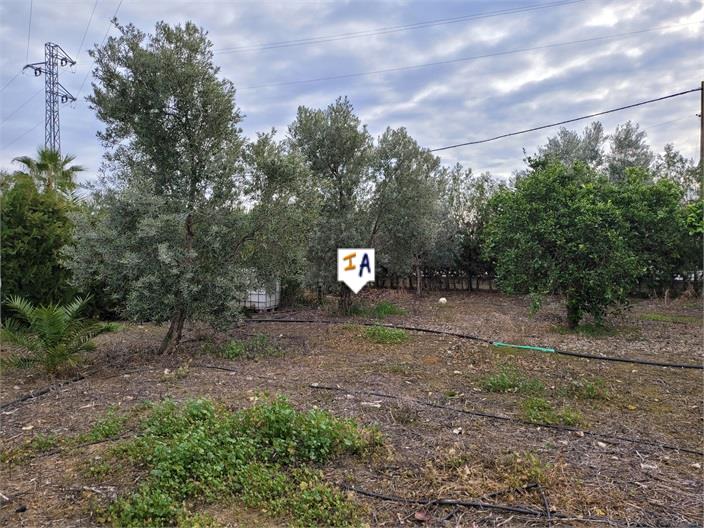 Image No.9-3 Bed House for sale