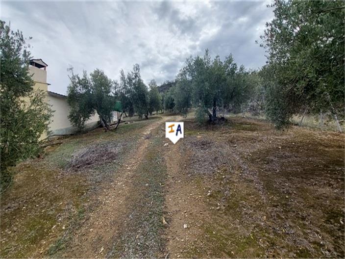 Image No.4-2 Bed House for sale