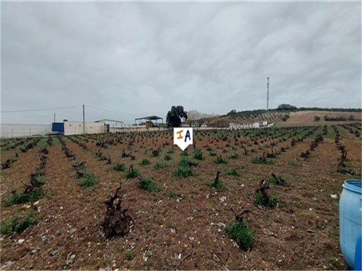 Image No.17-8 Bed Farmhouse for sale