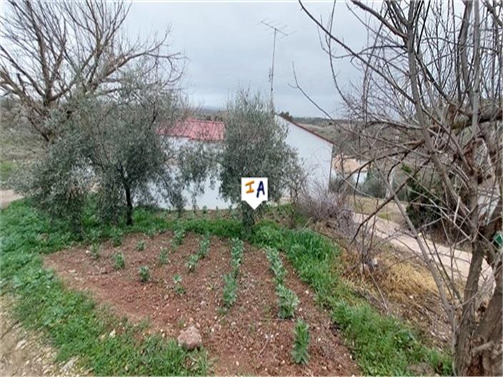 Image No.15-5 Bed Farmhouse for sale