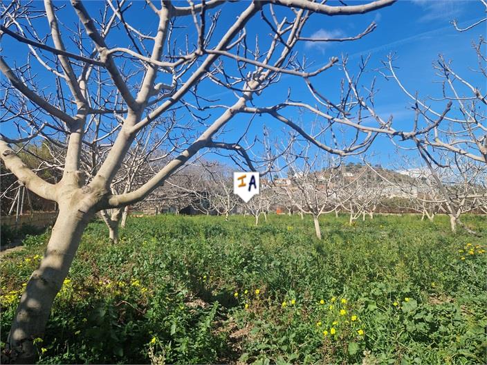 Image No.4-Terre à vendre à Almayate