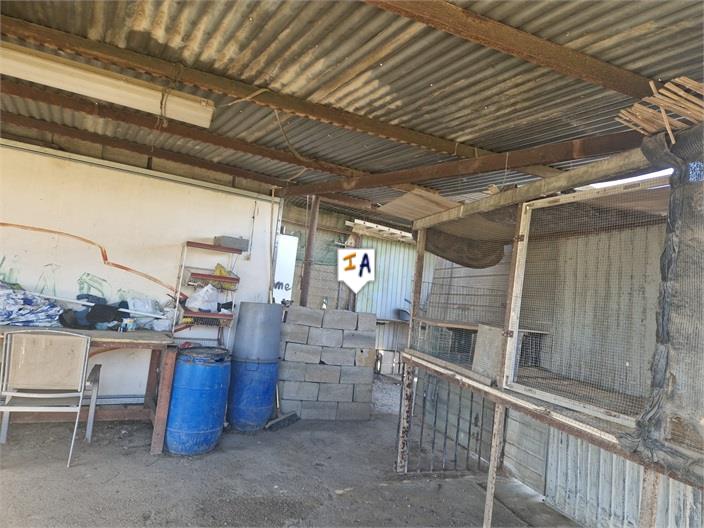 Image No.7-Terre à vendre à Almayate