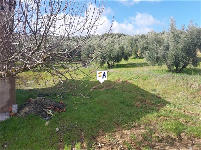 Image No.3-2 Bed House for sale