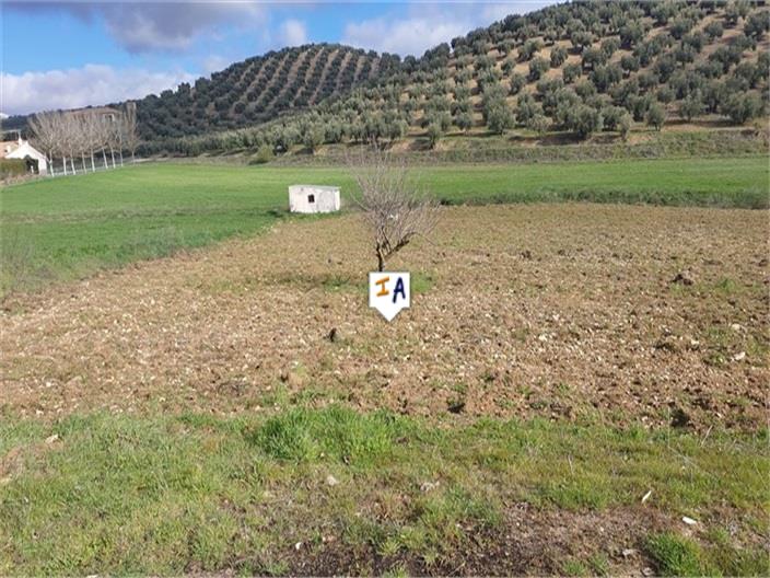 Image No.4-2 Bed House for sale