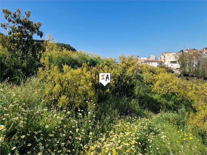 Image No.12-3 Bed Finca for sale