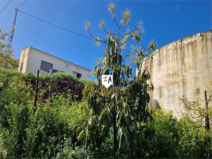 Image No.4-3 Bed Finca for sale