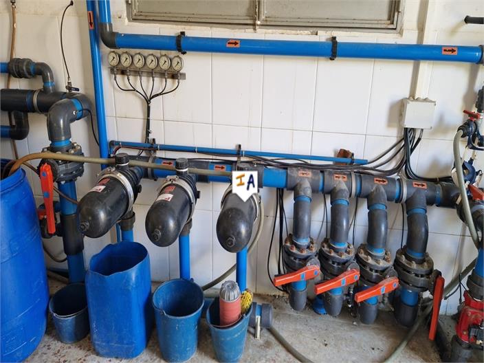 Image No.7-3 Bed Finca for sale