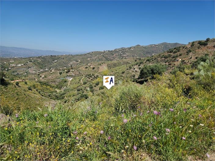 Image No.11-Terre à vendre à Arenas