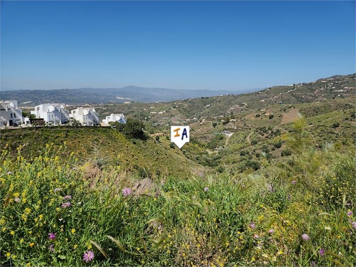 Image No.6-Terre à vendre à Arenas