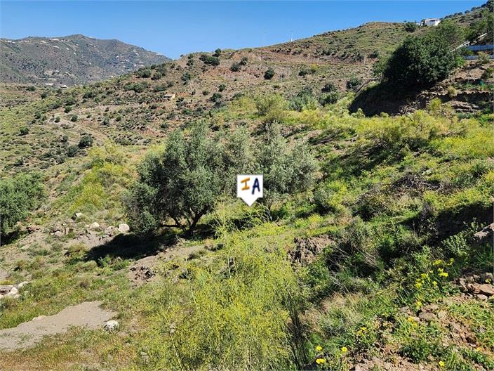 Image No.7-Terre à vendre à Arenas