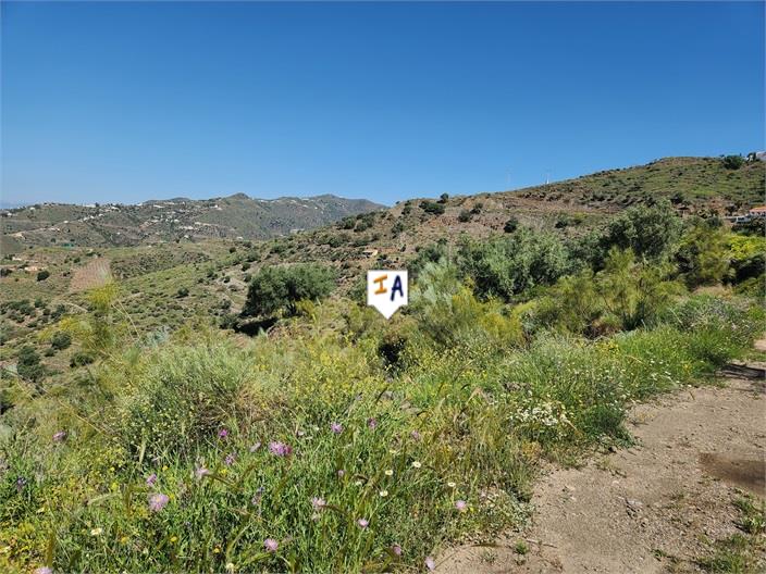 Image No.9-Terre à vendre à Arenas