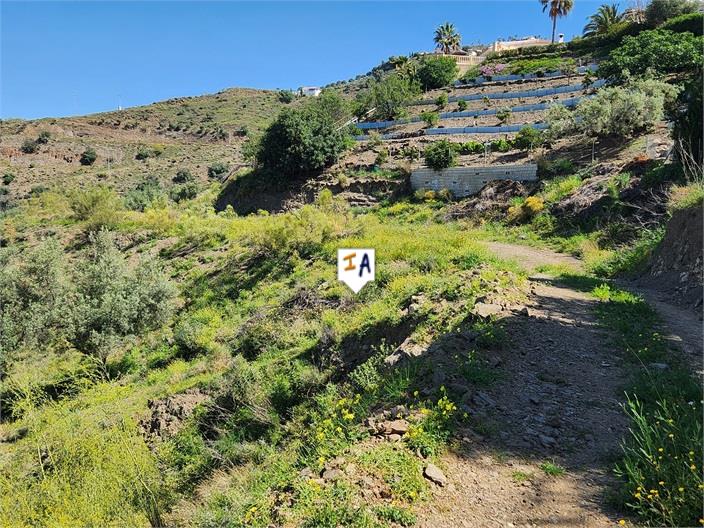 Image No.10-Terre à vendre à Arenas