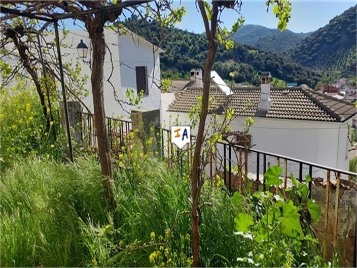 Image No.3-House for sale