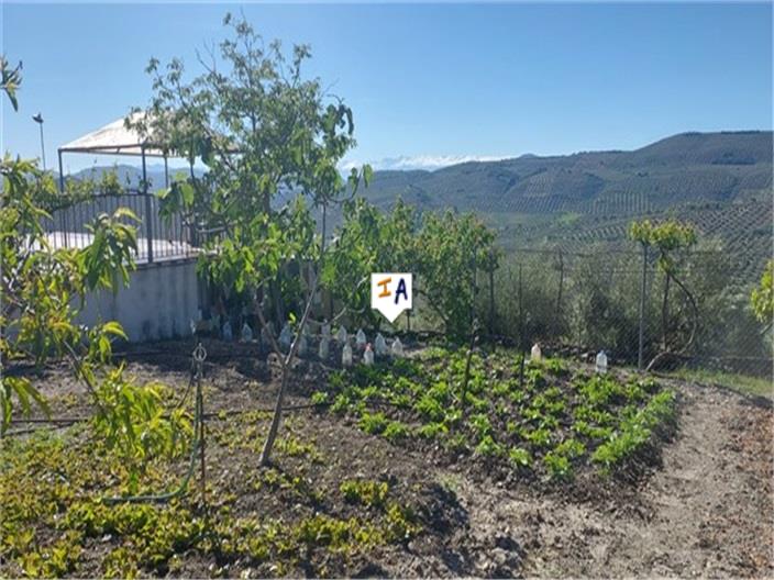 Image No.16-Ferme de 4 chambres à vendre à Ermita Nueva
