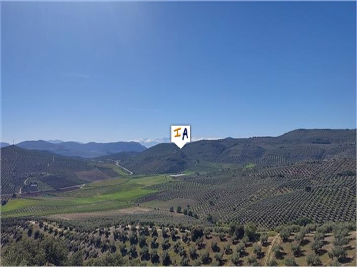 Image No.17-Ferme de 4 chambres à vendre à Ermita Nueva