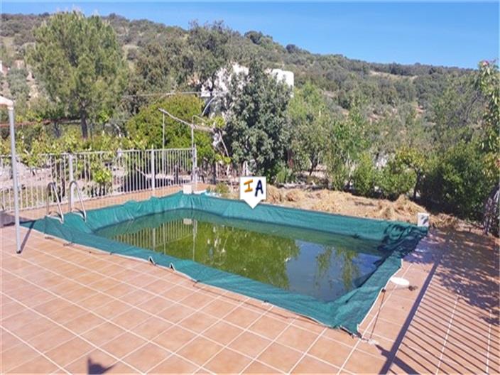 Image No.4-Ferme de 4 chambres à vendre à Ermita Nueva