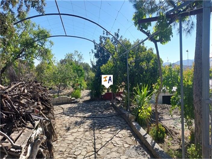 Image No.6-Ferme de 4 chambres à vendre à Ermita Nueva