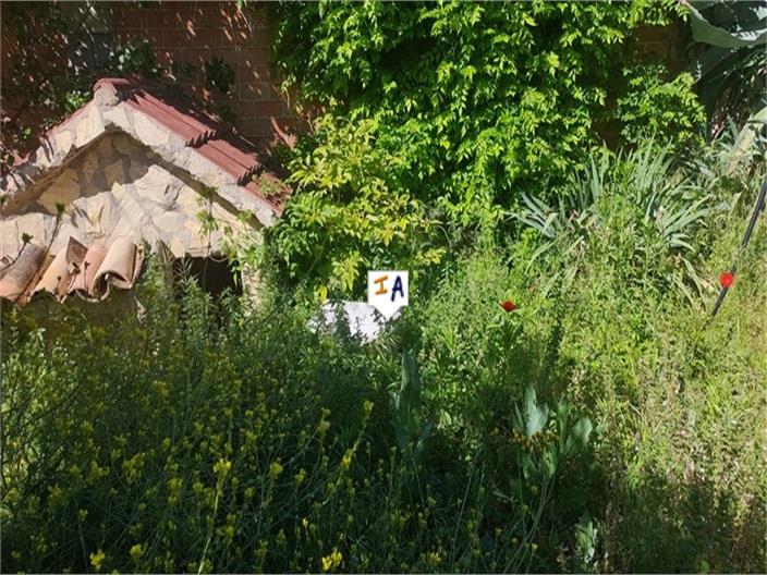 Image No.7-Farmhouse for sale