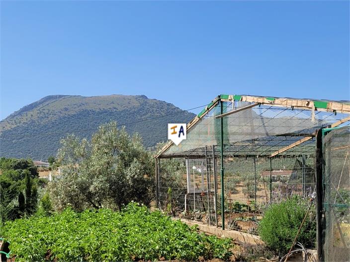 Image No.3-Villa de 4 chambres à vendre à Loja