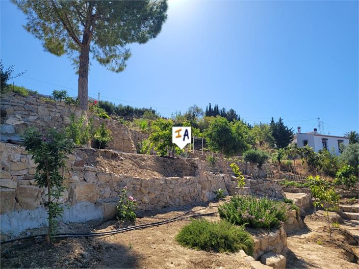 Image No.4-Ferme de 2 chambres à vendre à Antequera