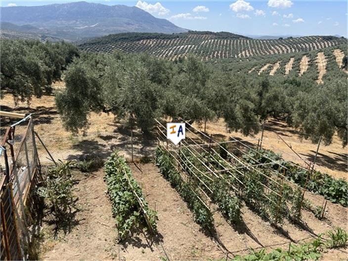 Image No.15-3 Bed Farmhouse for sale