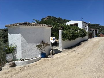cj87115