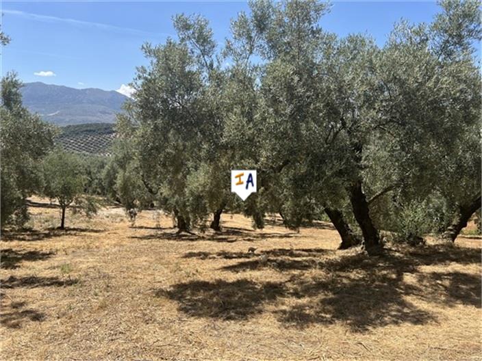 Image No.17-3 Bed Farmhouse for sale